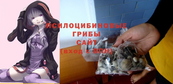 МДПВ Балахна