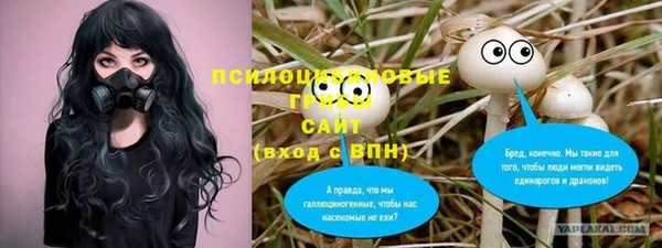 2c-b Аркадак