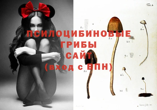 МДПВ Балахна