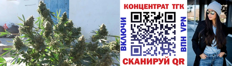 Дистиллят ТГК концентрат  Серов 